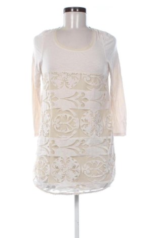 Damen Shirt Meadow Rue, Größe S, Farbe Mehrfarbig, Preis 17,00 €, #136525761