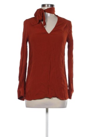 Damen Shirt Motivi, Größe S, Farbe Braun, Preis 47,57 €