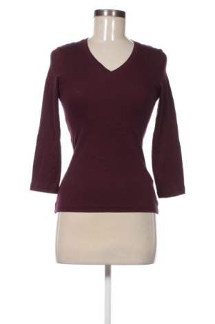 Bluzka damska Piazza Italia, Rozmiar S, Kolor Czerwony, Cena 41,99 zł