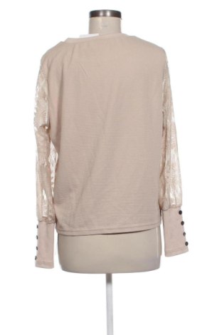 Damen Shirt SHEIN, Größe L, Farbe Beige, Preis 20,99 €