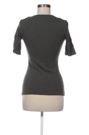 Damen Shirt Tezenis, Größe XS, Farbe Grün, Preis 12,99 €