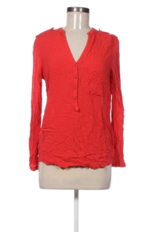 Damen Shirt Zara, Größe M, Farbe Mehrfarbig, Preis 17,99 €