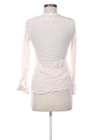 Damen Shirt Zara, Größe XS, Farbe Rosa, Preis 17,99 €