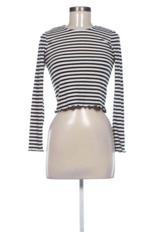 Damen Shirt Zebra, Größe S, Farbe Mehrfarbig, Preis 12,99 €