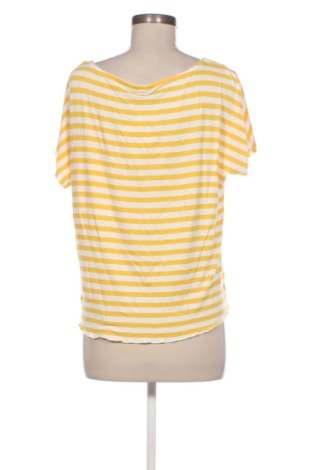 Damen Shirt Zeeman, Größe XL, Farbe Mehrfarbig, Preis € 12,99