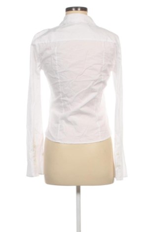 Damenbluse Bershka, Größe S, Farbe Weiß, Preis 16,99 €