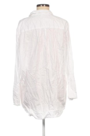 Damenbluse Hampton Republic, Größe L, Farbe Weiß, Preis 15,99 €