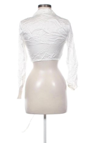 Damenbluse Zara, Größe M, Farbe Ecru, Preis € 18,99