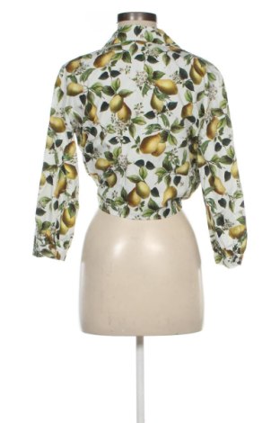 Damenbluse Zara, Größe S, Farbe Mehrfarbig, Preis € 18,99
