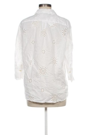 Damenbluse Zara, Größe M, Farbe Weiß, Preis 17,99 €