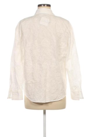 Damenbluse Zara, Größe M, Farbe Weiß, Preis 17,99 €
