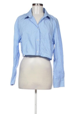 Damenbluse Zara, Größe L, Farbe Mehrfarbig, Preis 14,00 €