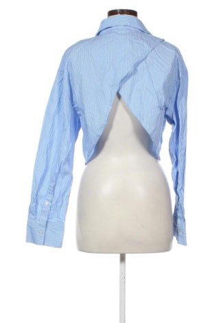 Damenbluse Zara, Größe L, Farbe Mehrfarbig, Preis 14,00 €