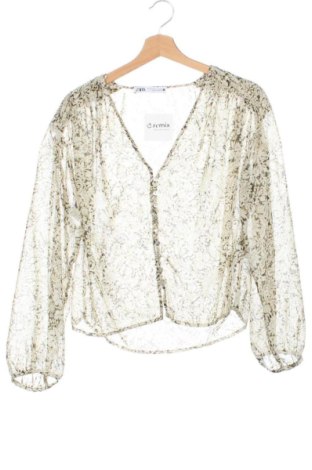 Damenbluse Zara, Größe XS, Farbe Mehrfarbig, Preis 17,99 €