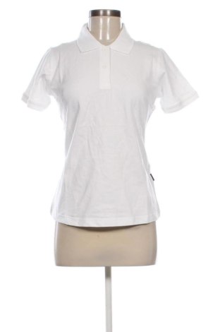 Damen T-Shirt Harvest, Größe M, Farbe Weiß, Preis € 23,52, #136527892