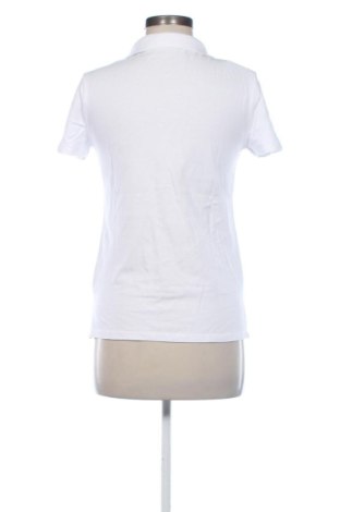 Damen T-Shirt Terranova, Größe S, Farbe Weiß, Preis 10,00 €