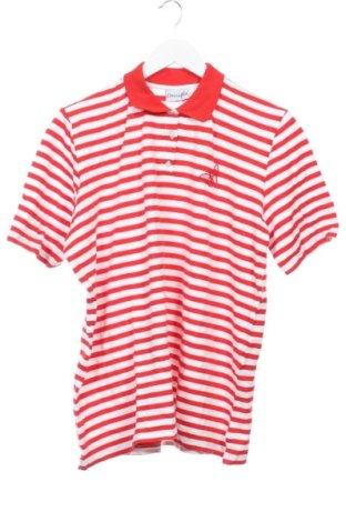 Damen T-Shirt Unbranded, Größe XXL, Farbe Mehrfarbig, Preis € 12,99