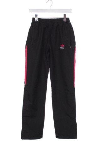 Damenhose Adidas, Größe XS, Farbe Schwarz, Preis 36,99 €