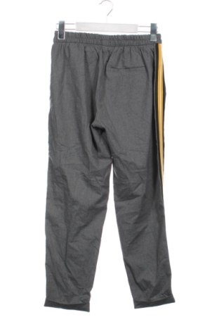 Damenhose Bershka, Größe XS, Farbe Grau, Preis 19,99 €