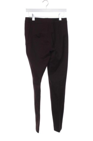 Damenhose Massimo Dutti, Größe M, Farbe Braun, Preis 41,99 €