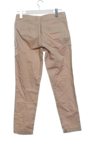 Damenhose Piazza Italia, Größe S, Farbe Beige, Preis € 19,99