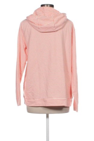 Дамски суитшърт Campus, Размер XXL, Цвят Многоцветен, Цена 15,33 €