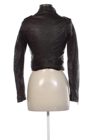 Damen Lederjacke Oakwood, Größe S, Farbe Braun, Preis € 80,00