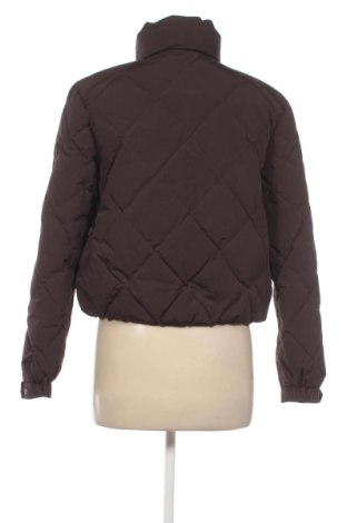 Damenjacke Massimo Dutti, Größe S, Farbe Braun, Preis 59,27 €
