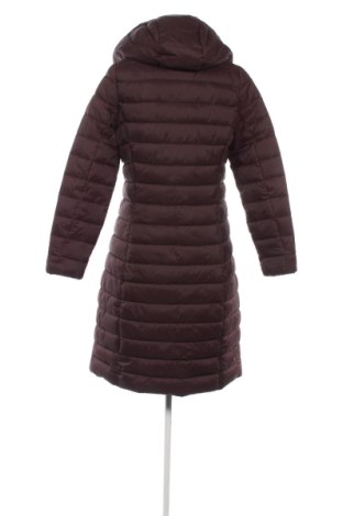 Damenjacke Save The Duck, Größe M, Farbe Braun, Preis € 170,91