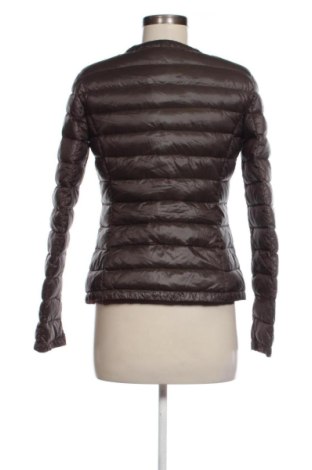 Damenjacke United Colors Of Benetton, Größe S, Farbe Braun, Preis 35,00 €