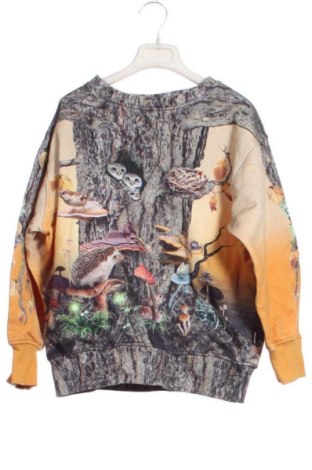 Kinder Shirt Molo, Größe 6-7y/ 122-128 cm, Farbe Mehrfarbig, Preis € 27,68