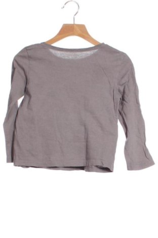 Detská blúzka  Tex, Veľkosť 2-3m/ 56-62 cm, Farba Sivá, Cena  5,75 €