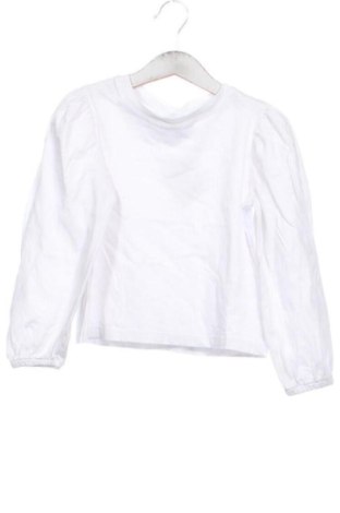 Dziecięca bluzka Zara, Rozmiar 5-6y/ 116-122 cm, Kolor Biały, Cena 37,51 zł