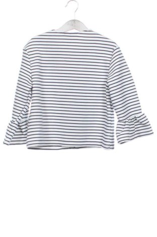 Pulover cu nasturi pentru copii Unbranded, Mărime 10-11y/ 146-152 cm, Culoare Multicolor, Preț 53,99 Lei
