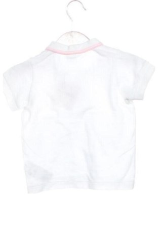 Kinder T-Shirt Lacoste, Größe 6-9m/ 68-74 cm, Farbe Weiß, Preis 17,00 €