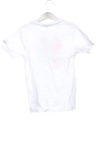 Dziecięcy T-shirt Tandem, Rozmiar 5-6y/ 116-122 cm, Kolor Biały, Cena 53,99 zł