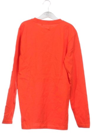 Kinder T-Shirt Unbranded, Größe 13-14y/ 164-168 cm, Farbe Mehrfarbig, Preis € 6,99