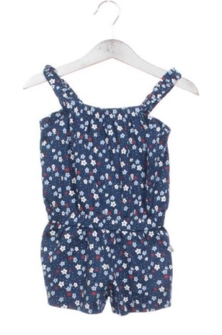 Kinder Overall Liegelind, Größe 9-12m/ 74-80 cm, Farbe Mehrfarbig, Preis 16,00 €