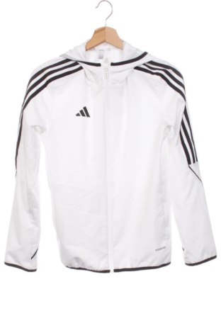 Kinder Sweatshirts Adidas, Größe 11-12y/ 152-158 cm, Farbe Weiß, Preis 27,99 €