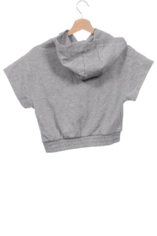 Детски суитшърт Zara, Размер 13-14y/ 164-168 см, Цвят Сив, Цена 7,66 €