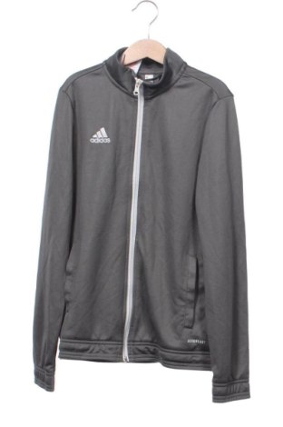 Bluză de trening, pentru copii Adidas, Mărime 10-11y/ 146-152 cm, Culoare Gri, Preț 107,99 Lei