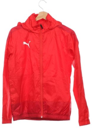 Παιδικό μπουφάν PUMA, Μέγεθος 13-14y/ 164-168 εκ., Χρώμα Κόκκινο, Τιμή 32,99 €