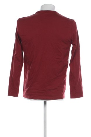 Herren Shirt Tom Tailor, Größe M, Farbe Mehrfarbig, Preis 17,99 €