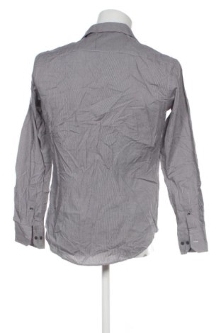 Herrenhemd Dack's, Größe M, Farbe Mehrfarbig, Preis € 36,99