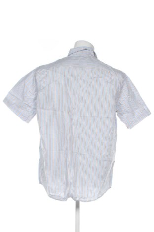 Herrenhemd McNeal, Größe L, Farbe Mehrfarbig, Preis 17,46 €