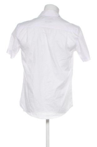 Męska koszula Pierre Cardin, Rozmiar S, Kolor Biały, Cena 131,57 zł