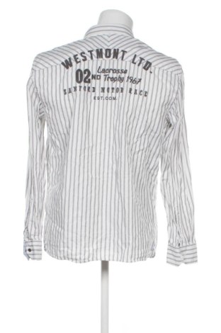 Herrenhemd S.Oliver, Größe L, Farbe Mehrfarbig, Preis 22,99 €