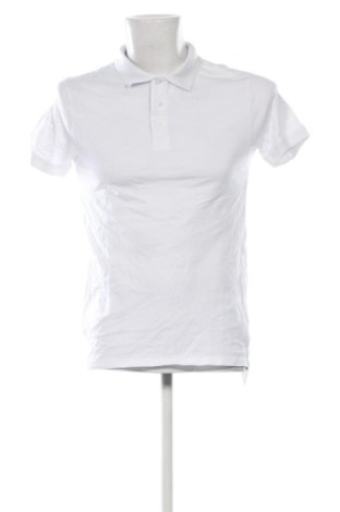 Ανδρικό t-shirt Cotton&silk, Μέγεθος M, Χρώμα Λευκό, Τιμή 11,99 €