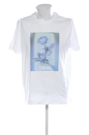 Herren Shirt Esprit, Größe XL, Farbe Mehrfarbig, Preis 9,99 €