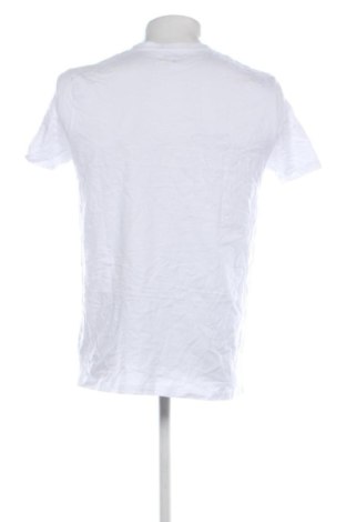 Herren T-Shirt Terranova, Größe L, Farbe Weiß, Preis € 12,99